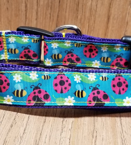 Leash/ Large/ Lady Bugs