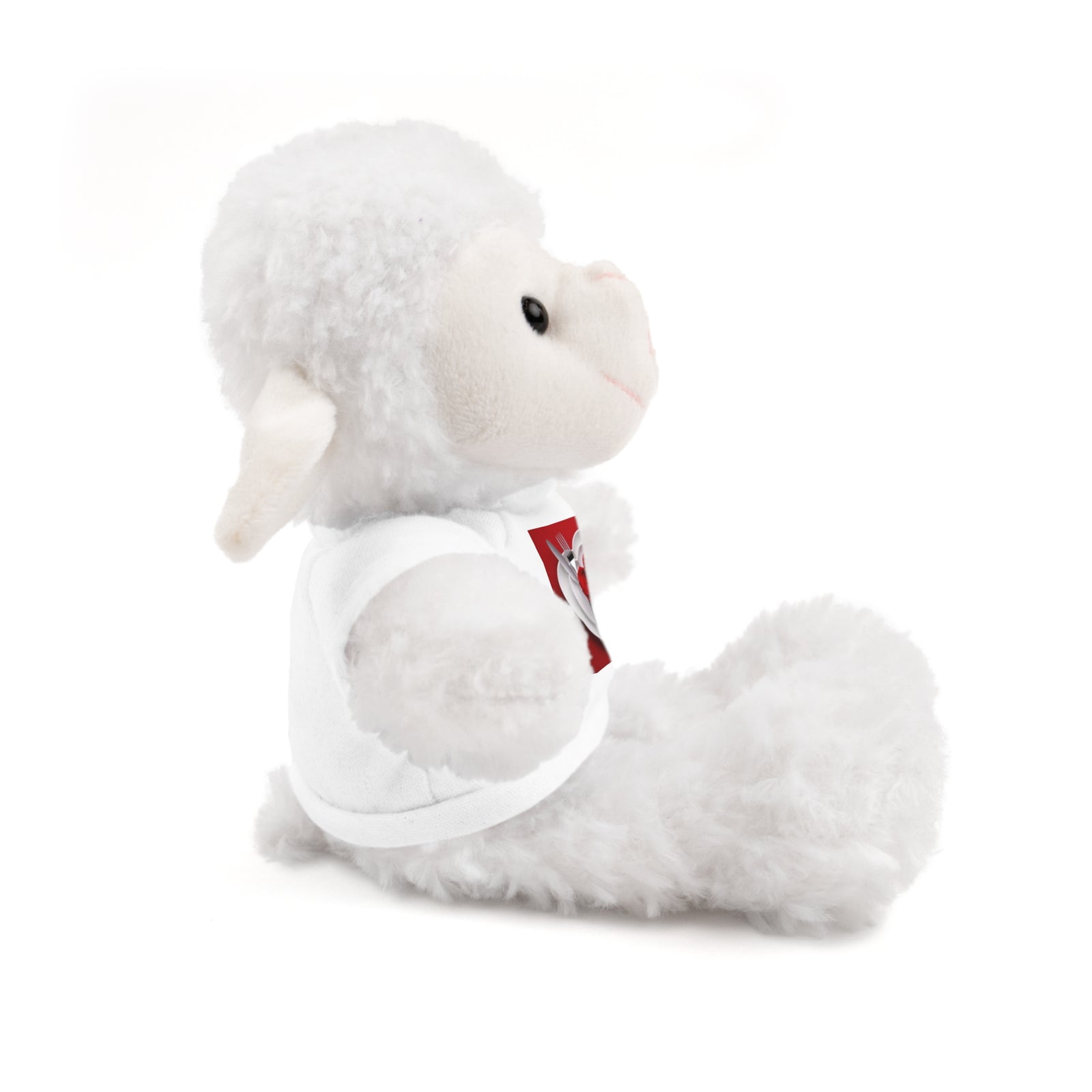 Valentine Stuffed Animals with Tee