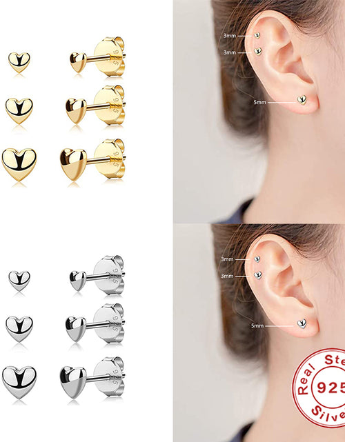 Load image into Gallery viewer, CANNER Aros 18K Gold Plated Earring Set 925 Sterling Silver Small Ear
