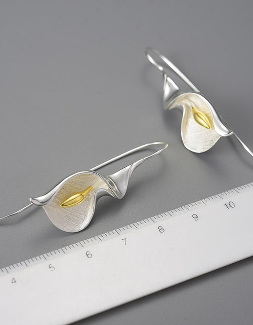 Load image into Gallery viewer, 925 Sterling Silver Jewelry Real Luxury | Silver 925 Jewelry Earrings
