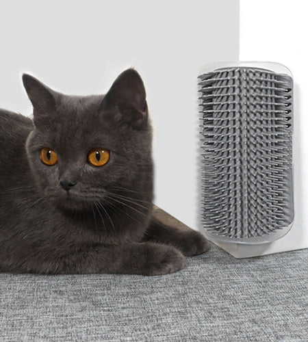 Massager For Cats Pet Products Pets Goods Brush Remove Hair Comb