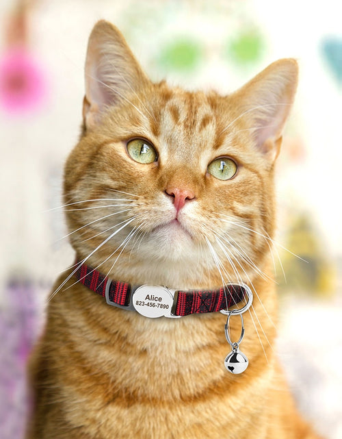 Load image into Gallery viewer, Personalized Printed Cat Collar Adjustable Kitten Puppy Collars With
