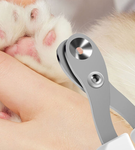 Professional Cat Nail Clippers for Small Cat Dog Stainless Steel Puppy