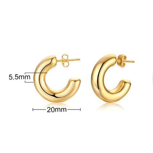 Load image into Gallery viewer, Stainless Steel Hoop Earrings Women | Gold Plated Stainless Steel
