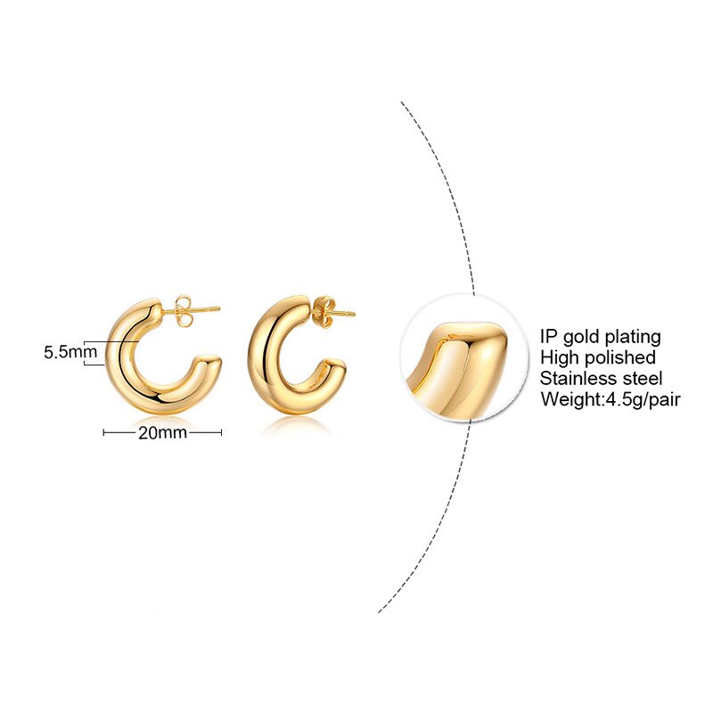 Stainless Steel Hoop Earrings Women | Gold Plated Stainless Steel