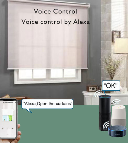 Tuya Battery Roller Blind Motor Usb 5v Chargeable Zigbee Curtains