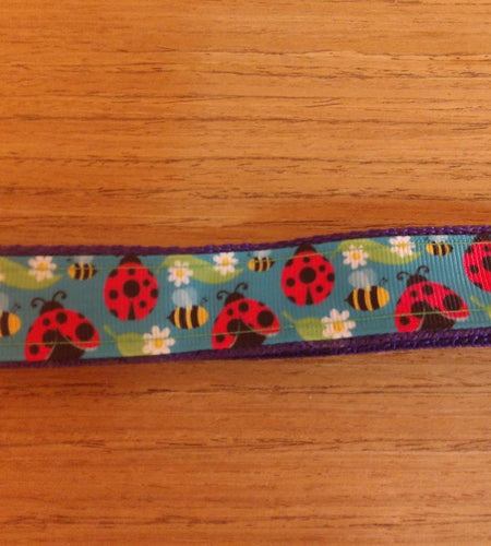Leash/ Large/ Lady Bugs